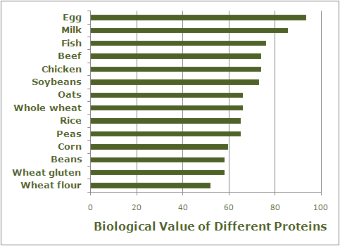 biological Value